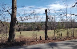 Lot 1-50-1 Colburn Road, New Boston, NH 03070