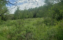TBD Co Rd 179, Oak Creek, CO 80467