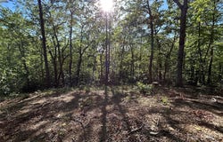 000 Jacks Paw Lane, Hendersonville, NC 28792