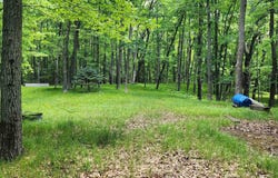 4809 White Birch Lane, Farwell, MI 48622