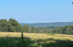 7236 SPRING GAP ROAD, SLANESVILLE, WV 25444