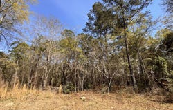 3.13 Acres Skyland Farm Road, Williston, SC 29853