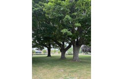 4850 136th Avenue, Hamilton, MI 49419