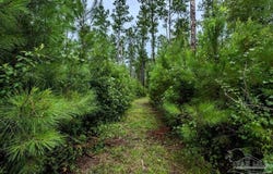 54 Sage Forest Ln, Pace, FL 32571