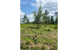 RIPLEY Rd, Carbon Hill, AL 35549