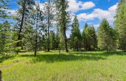 Steep River Ranch Road lot: 4, Thompson Falls, MT 59873