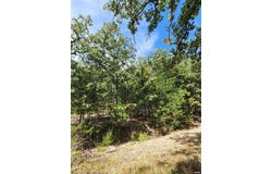 Unincorporated, MO 65066