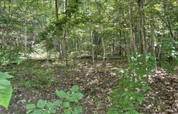 LOT 532 Whistle Valley Rd, New Tazewell, TN 37825