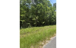 Shenandoah Rd, Poplarville, MS 39470