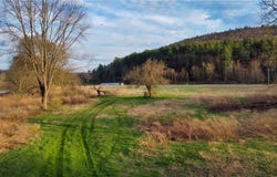 1353 Peas Eddy Road, Hancock, NY 13783