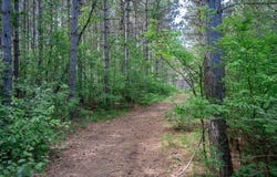 2.08 Ac Clearview Road, Nekoosa, WI 54456