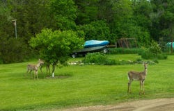 43572 241st Street, Canova, SD 57321