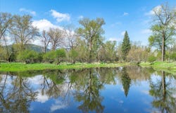 36524 E Canyon Rd, Cataldo, ID 83810