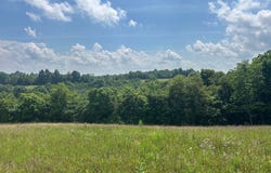 Crockett Lane, Mays Lick, KY 41056