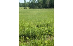 Lot 2 165th Avenue, Stanley, WI 54768