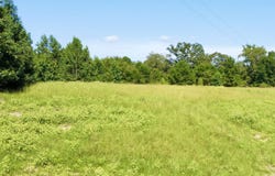 1435 Red Maple Rd, Big Sandy, TX 75755