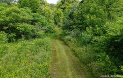 9325 S CEDAR DRIVE, ALLENDALE, MI 49401