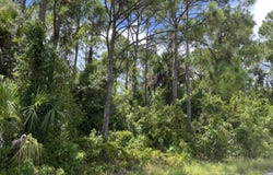 1030 Barbados Avenue SE, Palm Bay, FL 32909