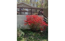 9842 County Road 91, Bryant, AL 35958