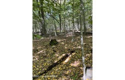 FF33HF Breezewood Drive, Albrightsville, PA 18210