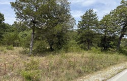 272 Beechwood Drive, Branson West, MO 65737