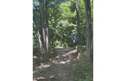 V/L E South Street, Marcellus, MI 49067