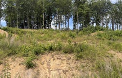 38 Malibu Drive, Corbin, KY 40701