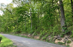 WOODMONT ROAD, GREAT CACAPON, WV 25422