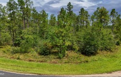 Tbd Cowels Road, Fountain, FL 32438