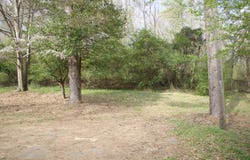 2178 County Highway 1, Hamilton, AL 35570