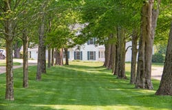 31 Lamberts Cove Road, Vineyard Haven, MA 02568
