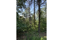 1579 Dallas Court, Ranger, GA 30734