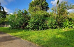 Lot 1 Tract 3021-A, Hagat, GU 96915