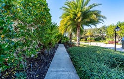 3950 Shearwater Dr, Jupiter, FL 33477