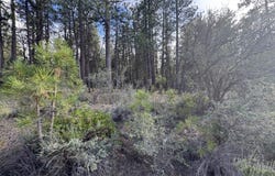 0 Partin Drive, Beatty, OR 97621