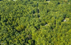 1556 Dogwood Drive, Oxford, NC 27565