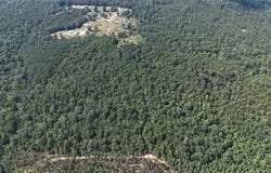 391 COUNTY ROAD 1028, CLANTON, AL 35046