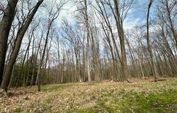 Stromeyers Road, Knox, PA 16232