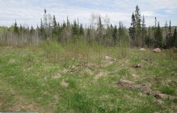4866 Waisanen Road, Embarrass, MN 55732