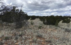 Country Lane lot: 38-39, Ramah, NM 87321