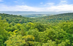 419 MOCKINGBIRD, MOUNT JACKSON, VA 22842