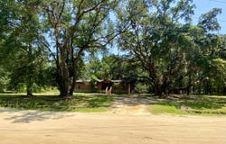 73 Meredith Road, Ridgeland, SC 29936