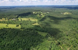 Hwy 20, Hamilton, AL 35570