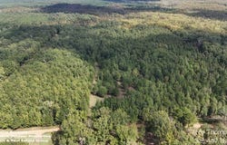 0 Steamset Road, Colfax, LA 71417