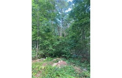 Windtree Ridge Road, Pickens, SC 29671