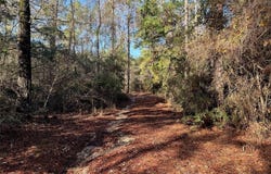 2694 County Road 4020, Crockett, TX 75835