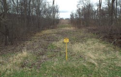 TBD Dog Hollow, WIOTA, WI 53504