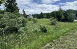 Lots 33 S Ski View Circle, Cedar, MI 49621