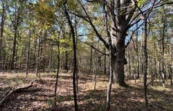 Perry Chapel Road, Ashland, MS 38603