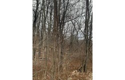 0 Phillips ODell Road, Guilford, NY 13809